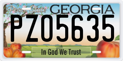 GA license plate PZO5635
