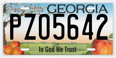 GA license plate PZO5642