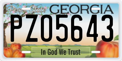 GA license plate PZO5643