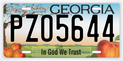 GA license plate PZO5644