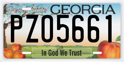 GA license plate PZO5661