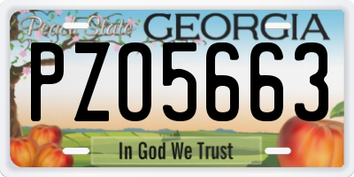 GA license plate PZO5663