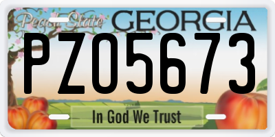GA license plate PZO5673