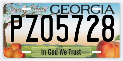 GA license plate PZO5728