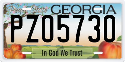 GA license plate PZO5730