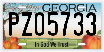 GA license plate PZO5733