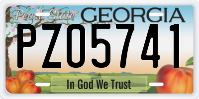 GA license plate PZO5741
