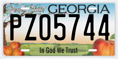 GA license plate PZO5744
