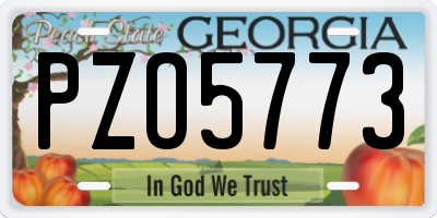 GA license plate PZO5773