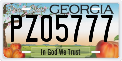 GA license plate PZO5777