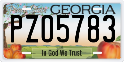 GA license plate PZO5783
