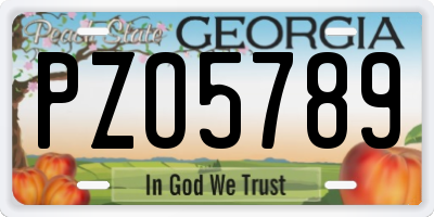 GA license plate PZO5789