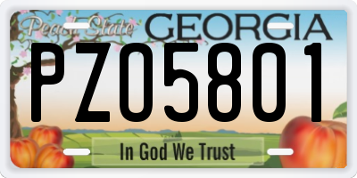 GA license plate PZO5801