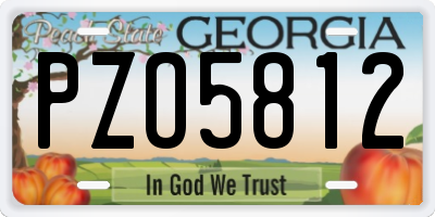 GA license plate PZO5812