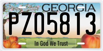 GA license plate PZO5813