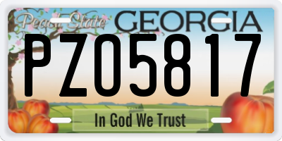 GA license plate PZO5817