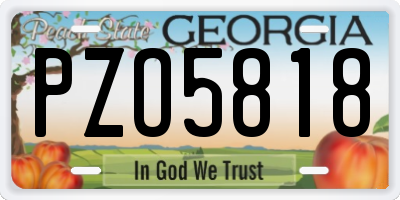 GA license plate PZO5818