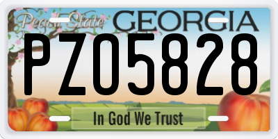 GA license plate PZO5828