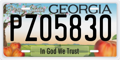 GA license plate PZO5830