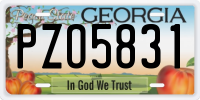 GA license plate PZO5831