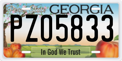 GA license plate PZO5833