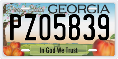 GA license plate PZO5839