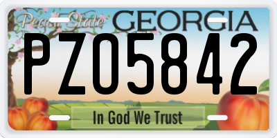 GA license plate PZO5842