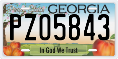 GA license plate PZO5843