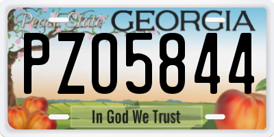 GA license plate PZO5844