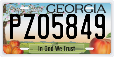 GA license plate PZO5849
