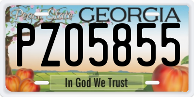GA license plate PZO5855