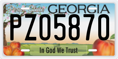 GA license plate PZO5870
