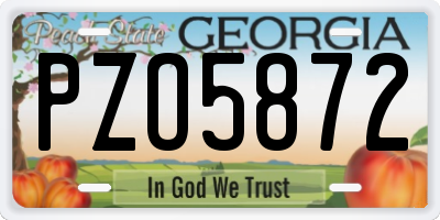 GA license plate PZO5872