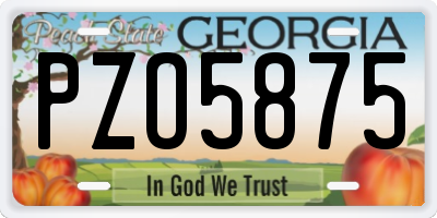 GA license plate PZO5875