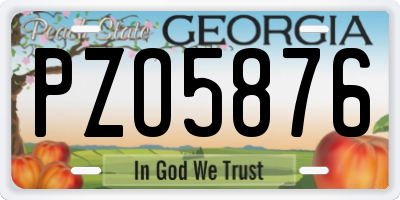 GA license plate PZO5876