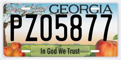 GA license plate PZO5877