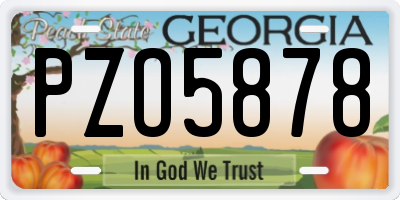 GA license plate PZO5878