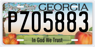 GA license plate PZO5883