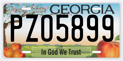 GA license plate PZO5899