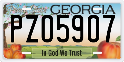 GA license plate PZO5907