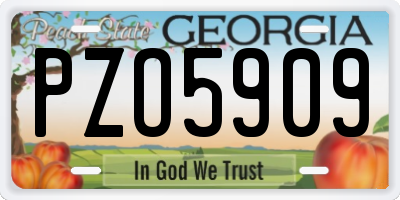 GA license plate PZO5909