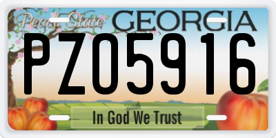 GA license plate PZO5916