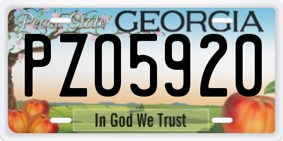 GA license plate PZO5920
