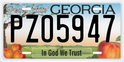 GA license plate PZO5947
