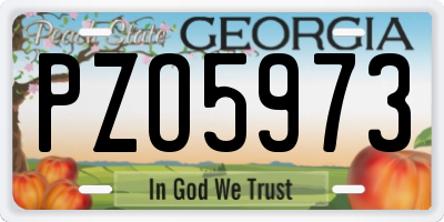 GA license plate PZO5973