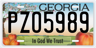GA license plate PZO5989