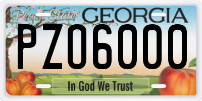 GA license plate PZO6000