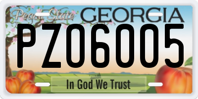 GA license plate PZO6005