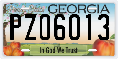 GA license plate PZO6013