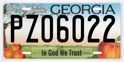 GA license plate PZO6022